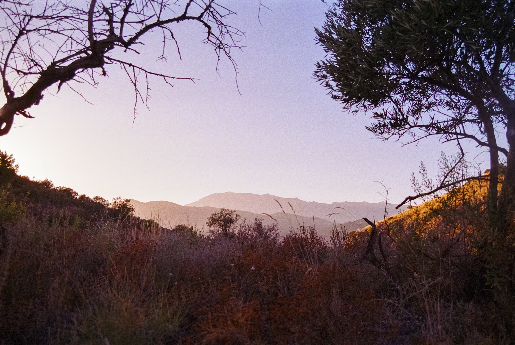 Cultural Immersion: The Heart of Meaningful Travel